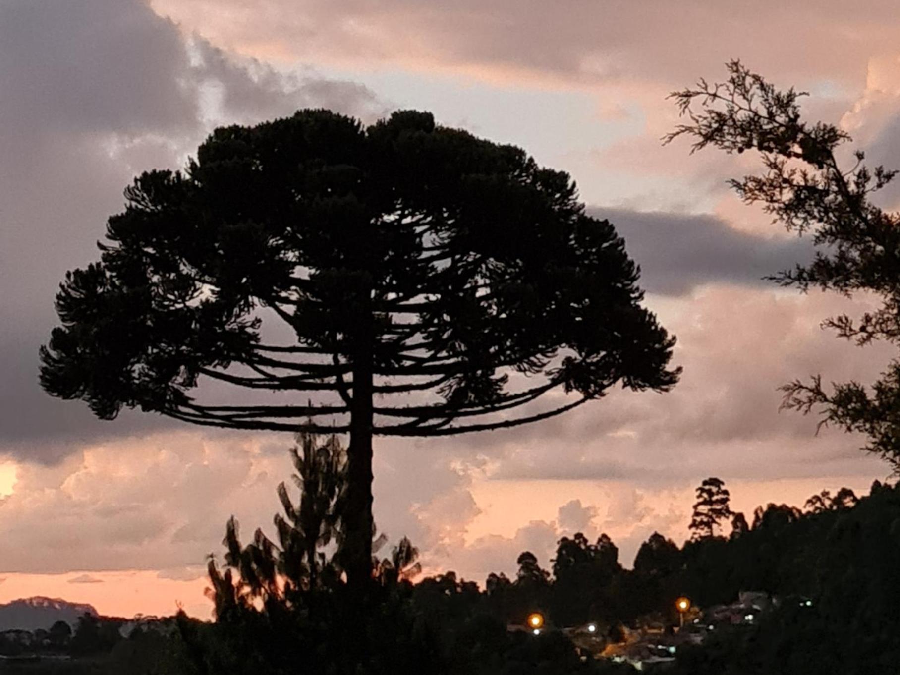 Do Moinho Monte Verde (Minas Gerais)